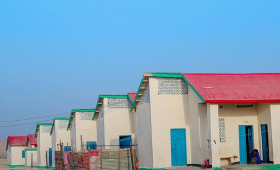 La ONU reivindica la vivienda como un derecho humano